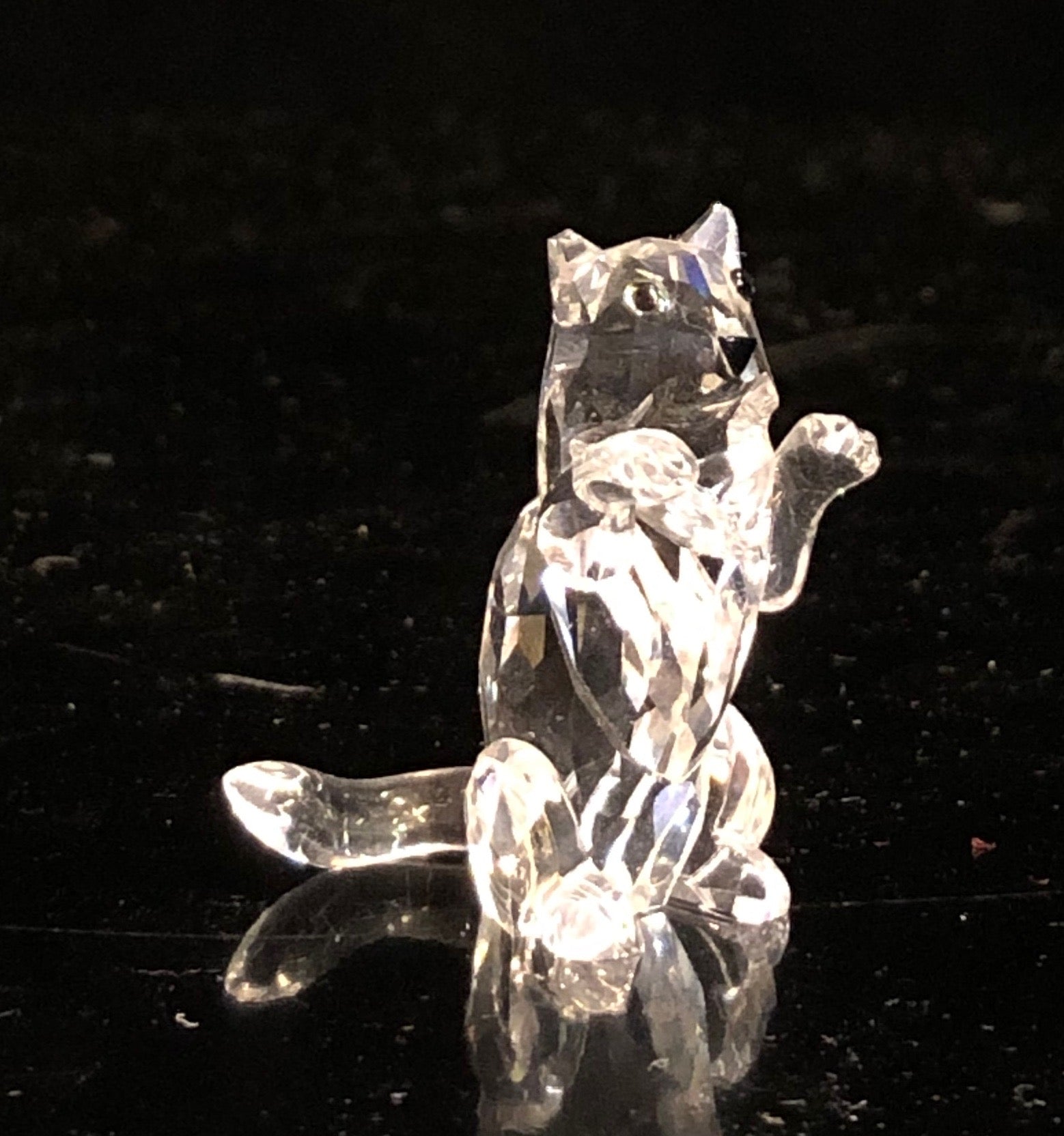 Swarovski Sitting Up Cat – Hannasofblowingrock