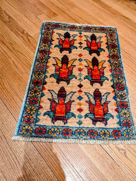 Pakistani Hand-knotted 1x2 Rugs