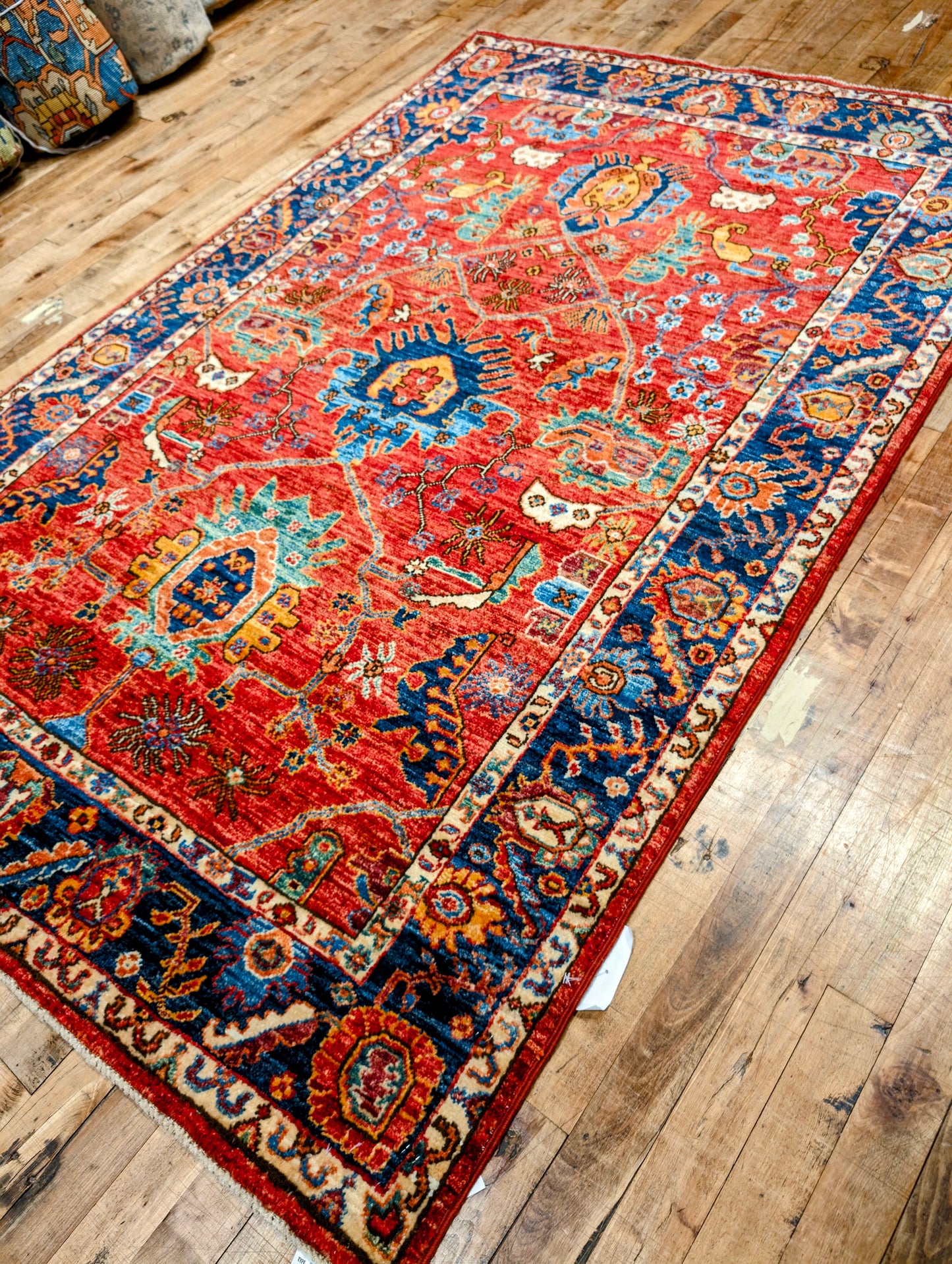 Pakistani Serapi hand-knotted 4x6 Rugs