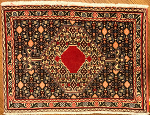Hand-Knotted Persian