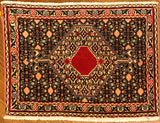Hand-Knotted Persian