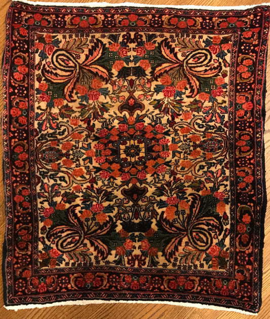 Hand-Knotted Persian Bidjar