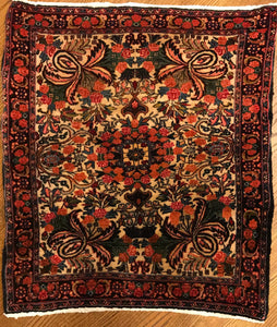 Hand-Knotted Persian Bidjar