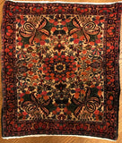Hand-Knotted Persian Bidjar