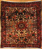 Hand-Knotted Persian Bidjar