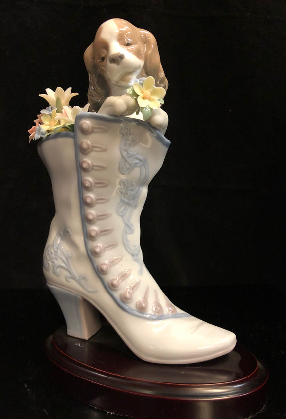 A Well Heeled Puppy