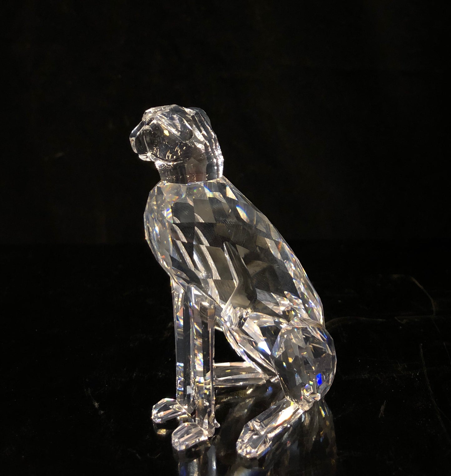 Swarovski Cheetah Var. 2
