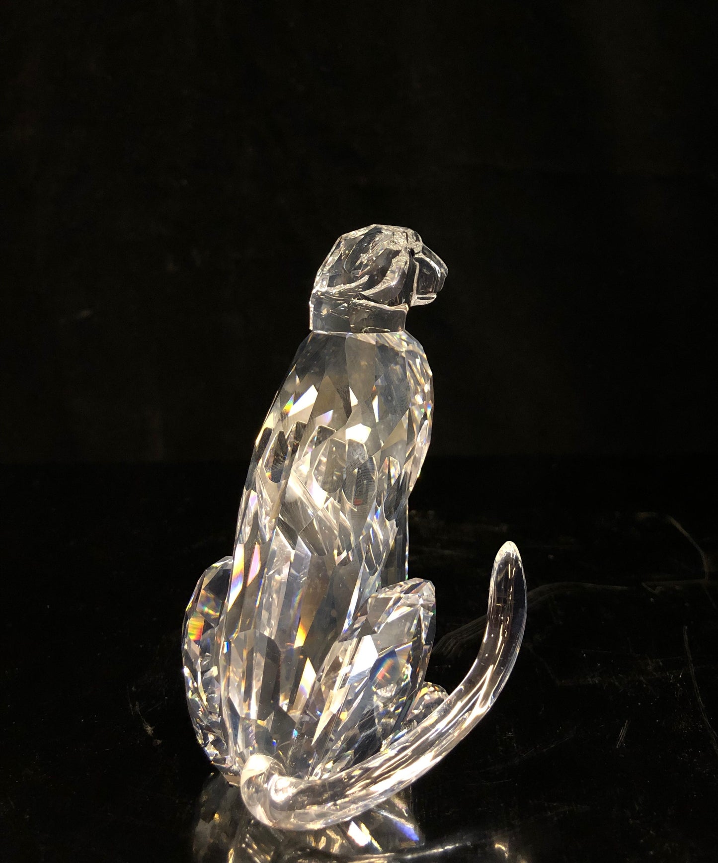 Swarovski Cheetah Var. 2
