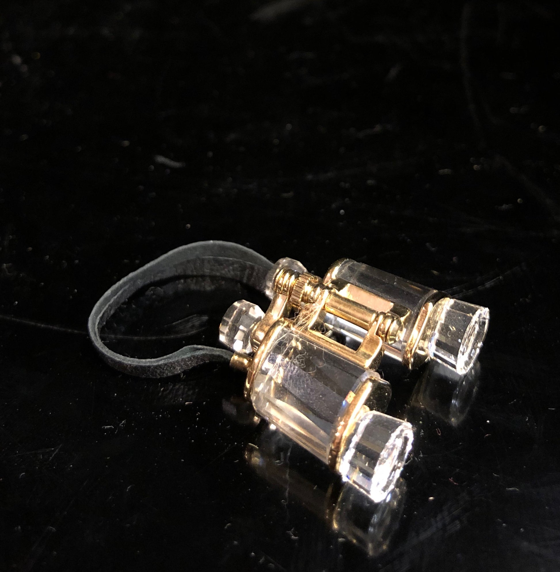 Swarovski shop crystal binoculars