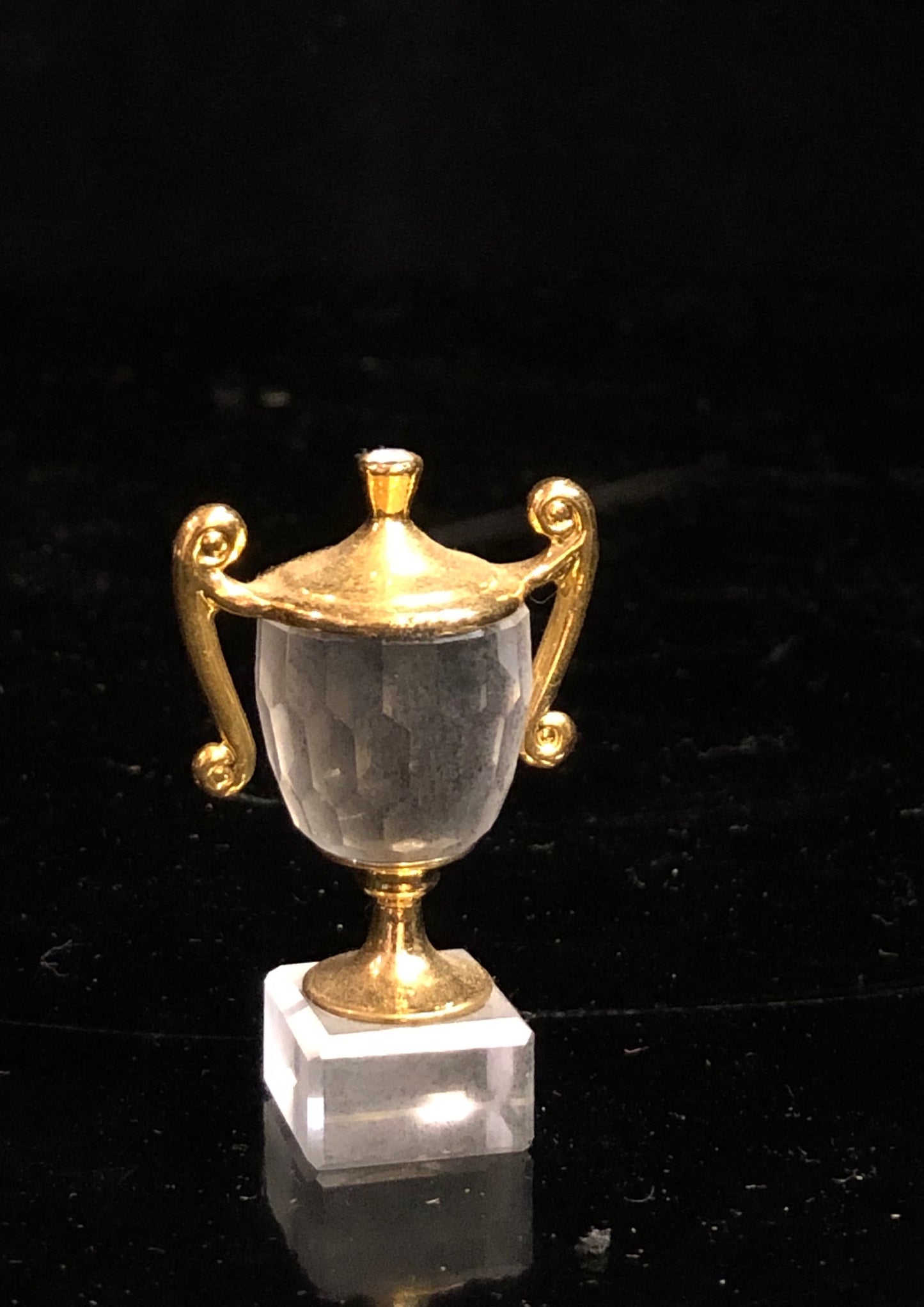 Swarovski Trophy