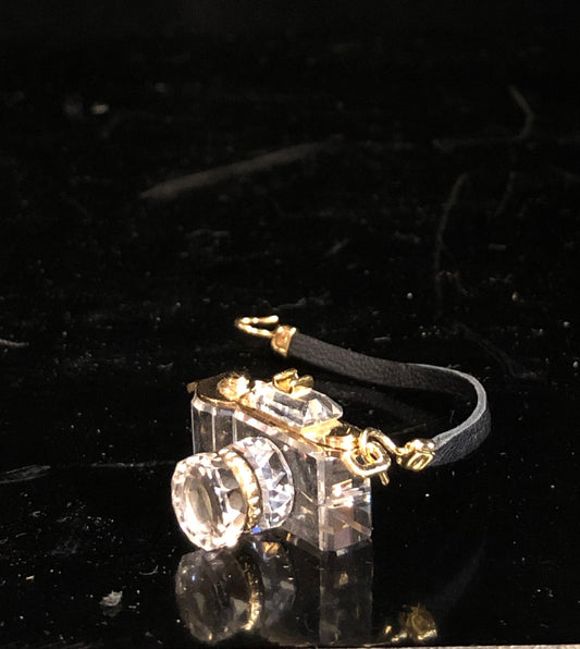 Swarovski Camera