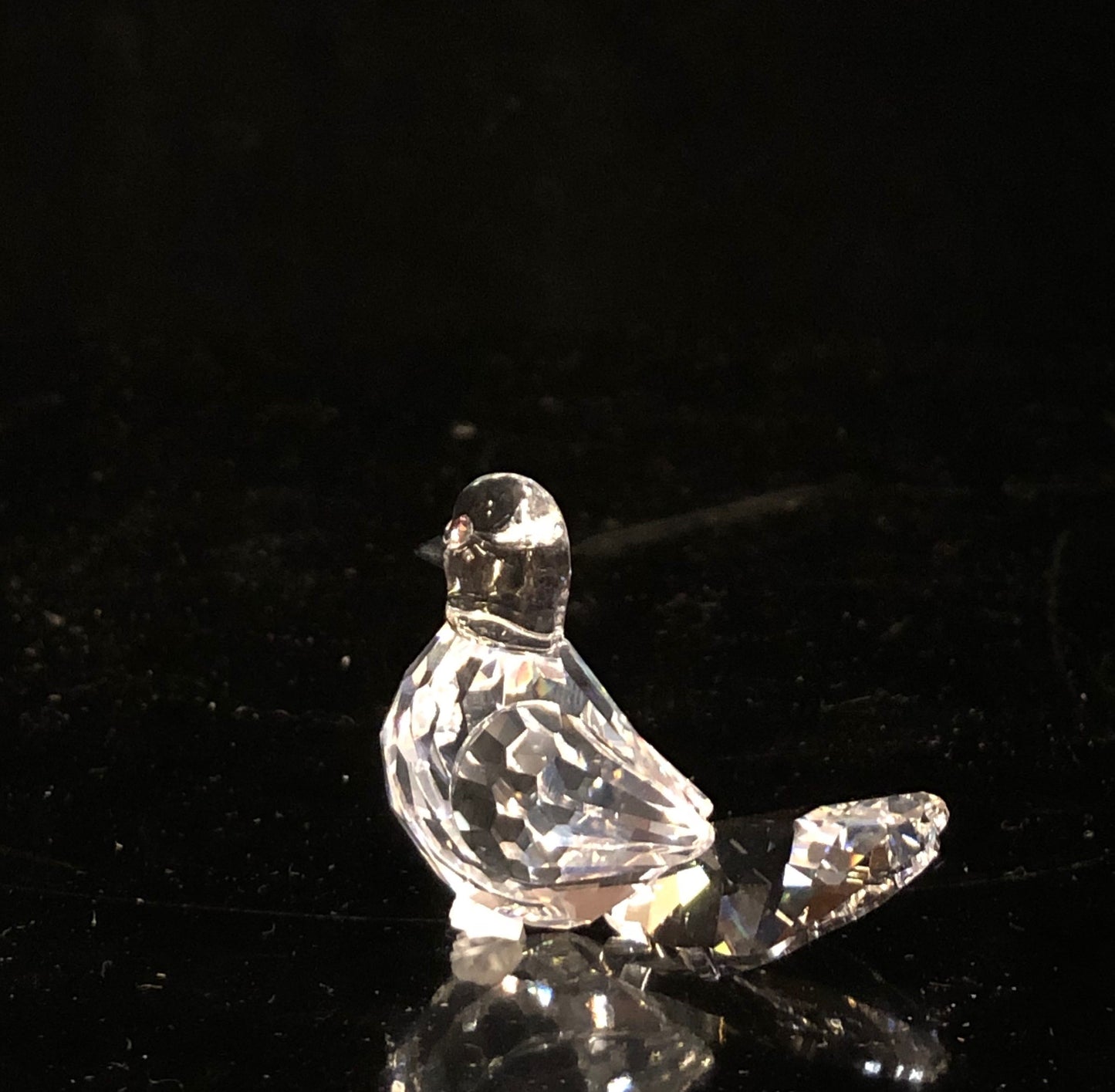 Swarovski Dove