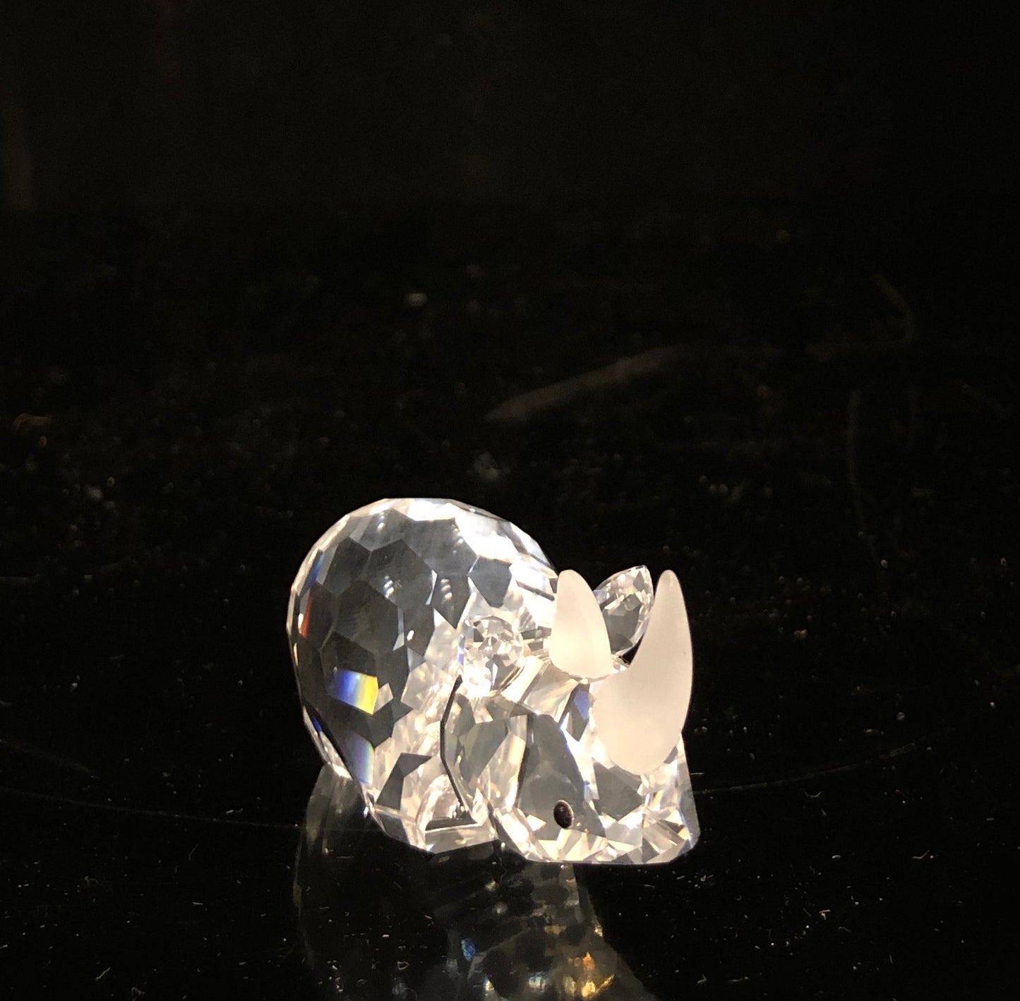 Swarovski Large Rhino