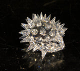 Swarovski Medium Hedgehog