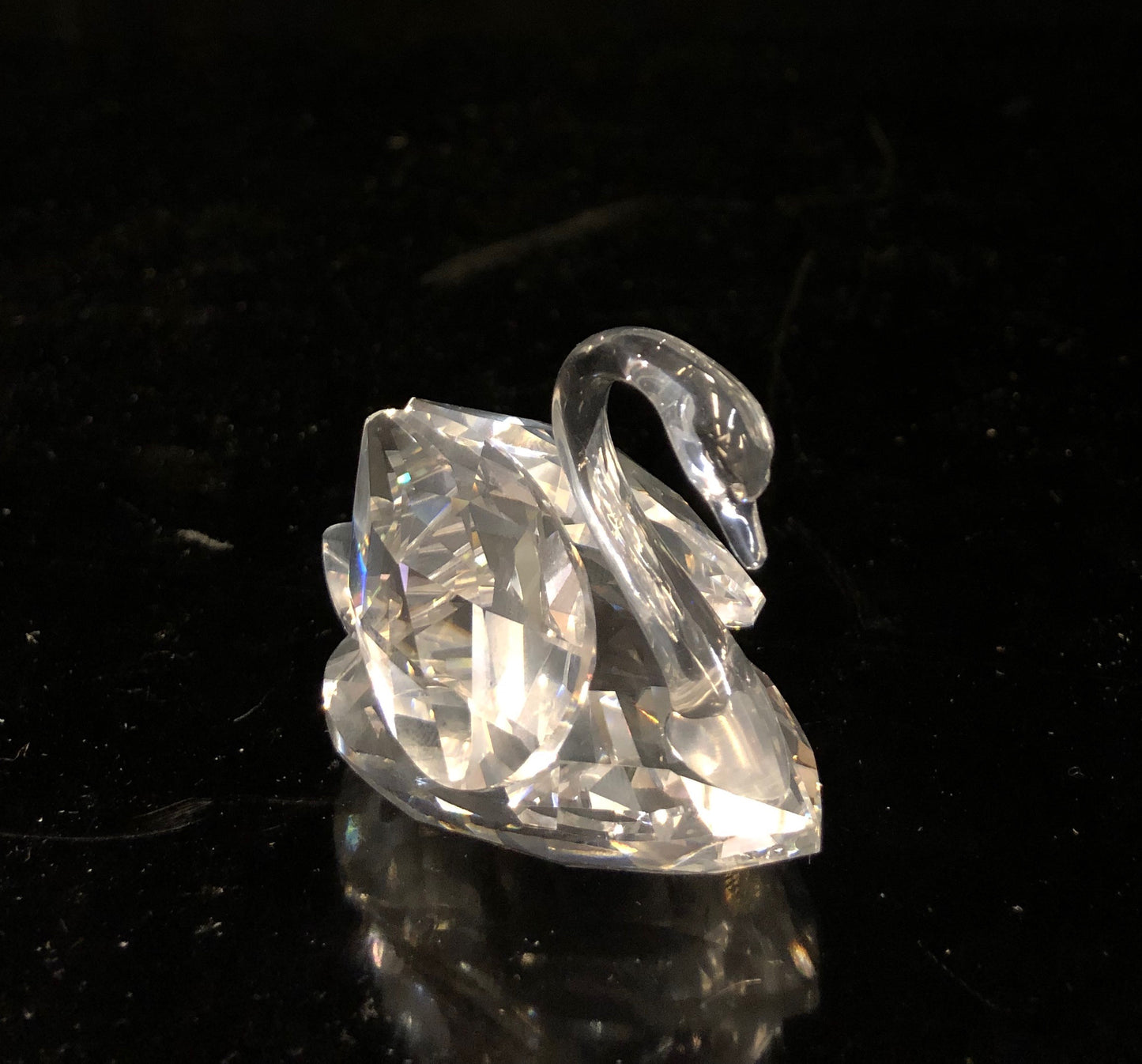 Swarovski Medium Swan