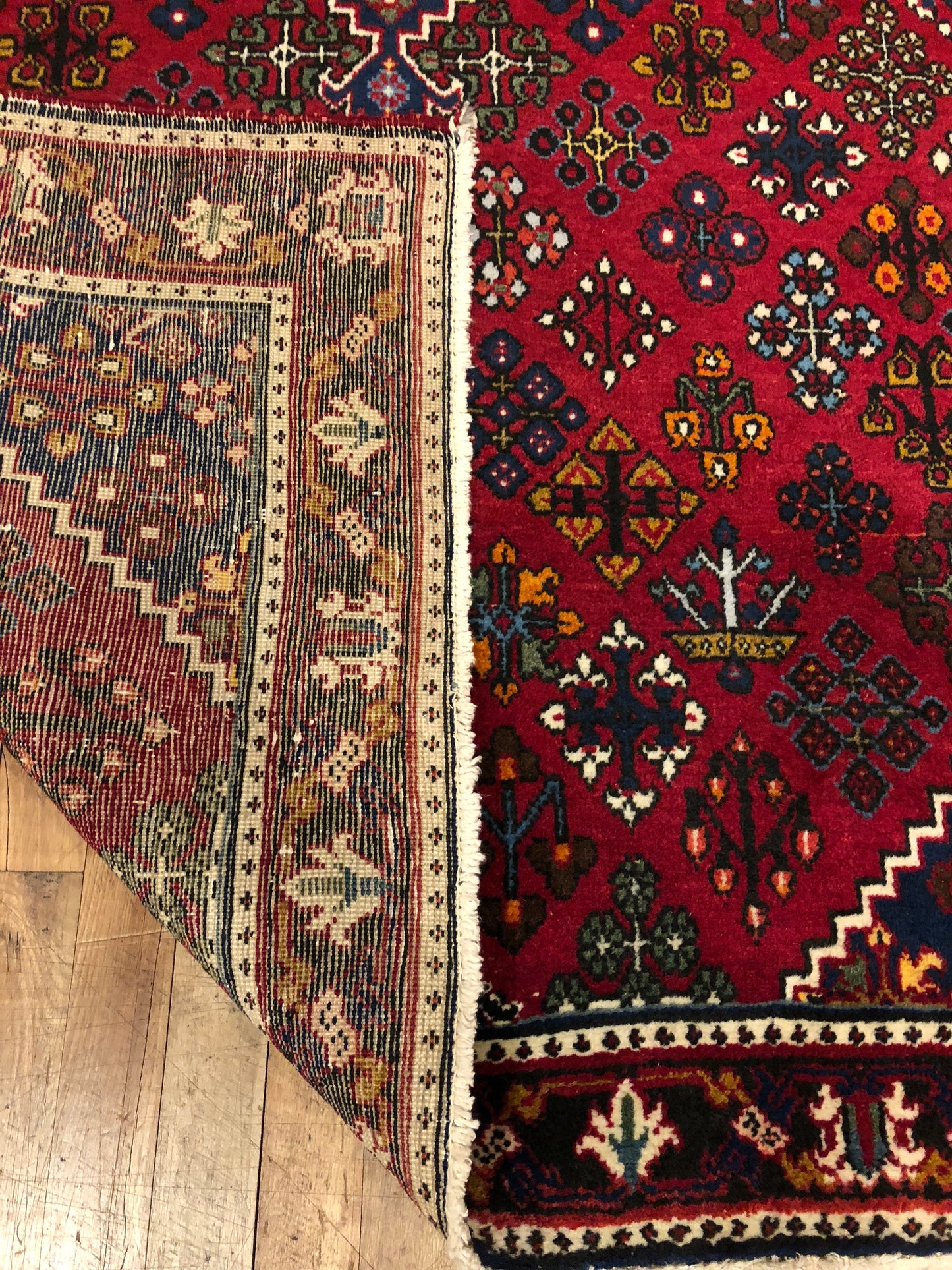 Hand-Knotted Persian Joshaghan
